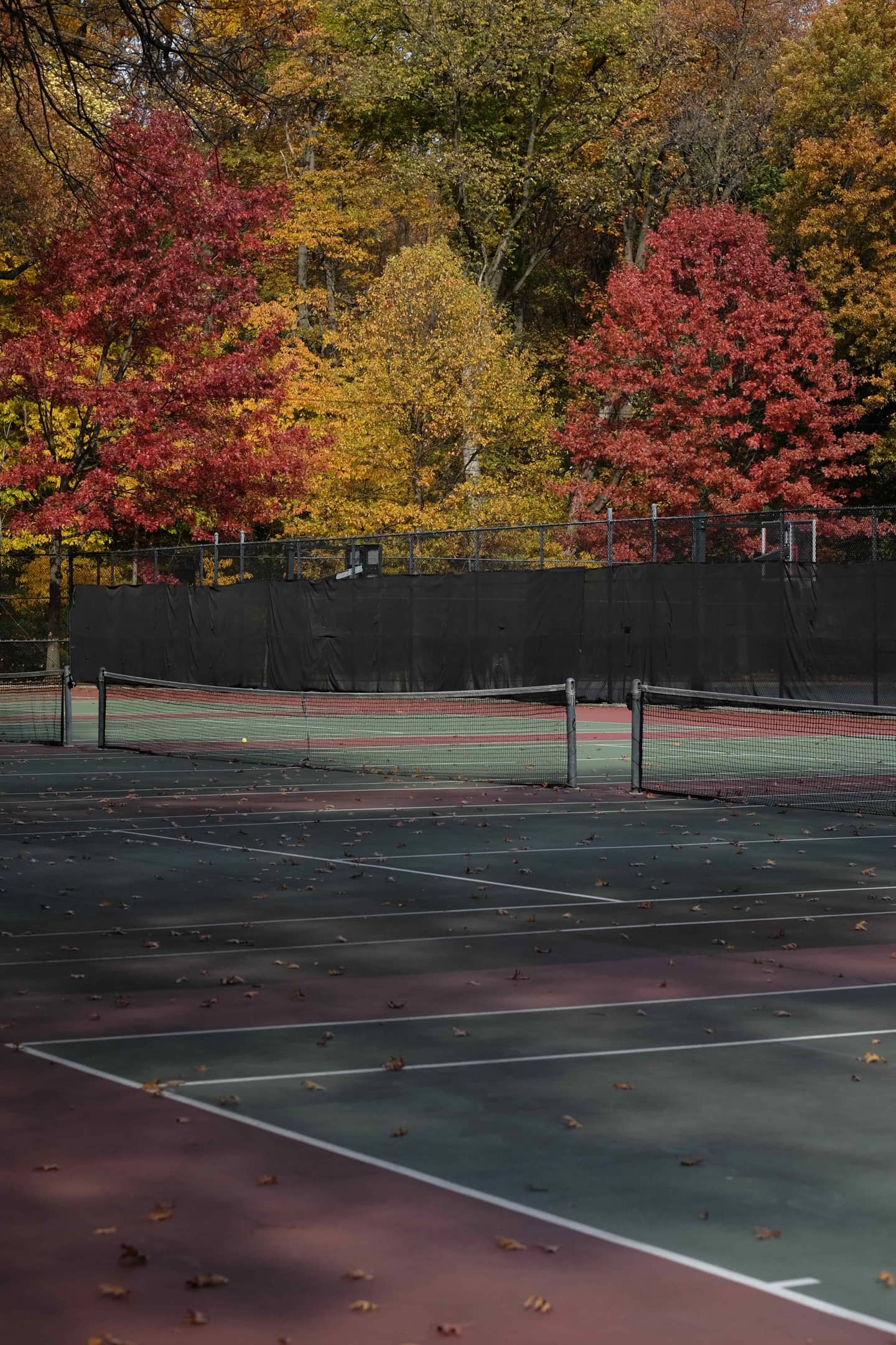New York City tennis courts surrounded by autumn foliage